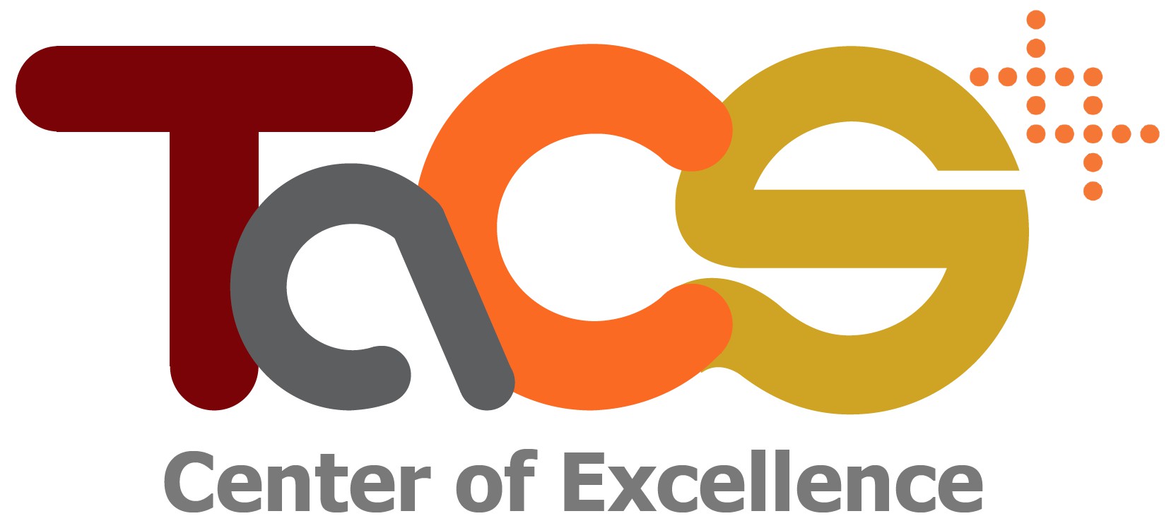 TaCS – Center of Excellence – Center of Excellence in Theoretical &  Computational Science (TaCS-CoE)